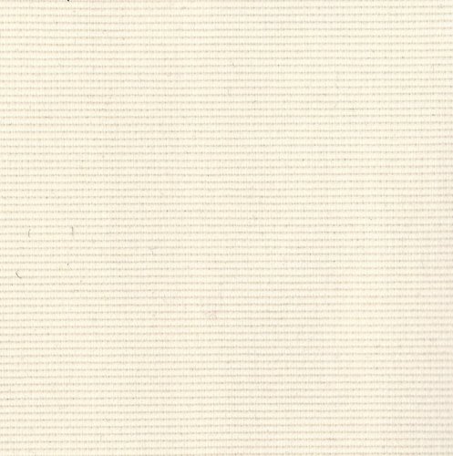 COTE de CHEVAL  2mm